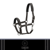 Kantar PIN BUCKLE Essence 2022 - Eskadron - darkolive